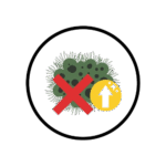 Mold Prevention and Remediation